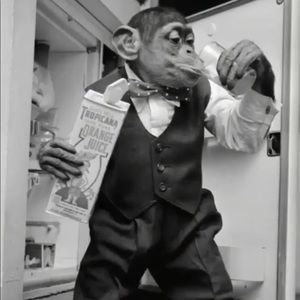 Meet your Posher, Derrick